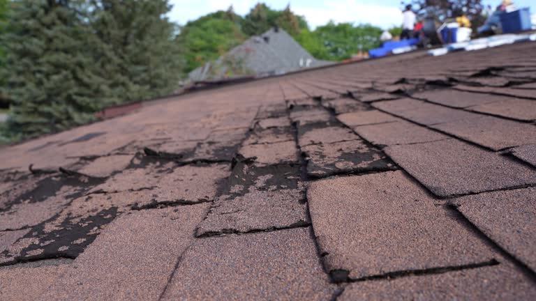 Fast & Reliable Emergency Roof Repairs in Lemoyne, PA