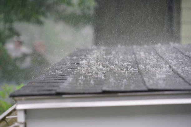 Best Skylight Installation and Repair  in Lemoyne, PA